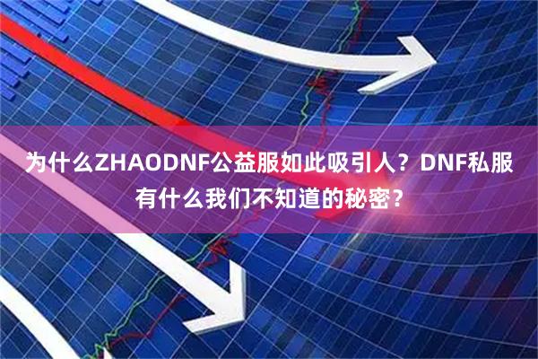 为什么ZHAODNF公益服如此吸引人？DNF私服有什么我们不知道的秘密？
