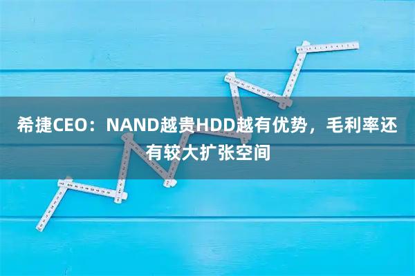 希捷CEO：NAND越贵HDD越有优势，毛利率还有较大扩张空间