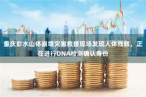 重庆彭水山体崩塌灾害救援现场发现人体残骸，正在进行DNA检测确认身份